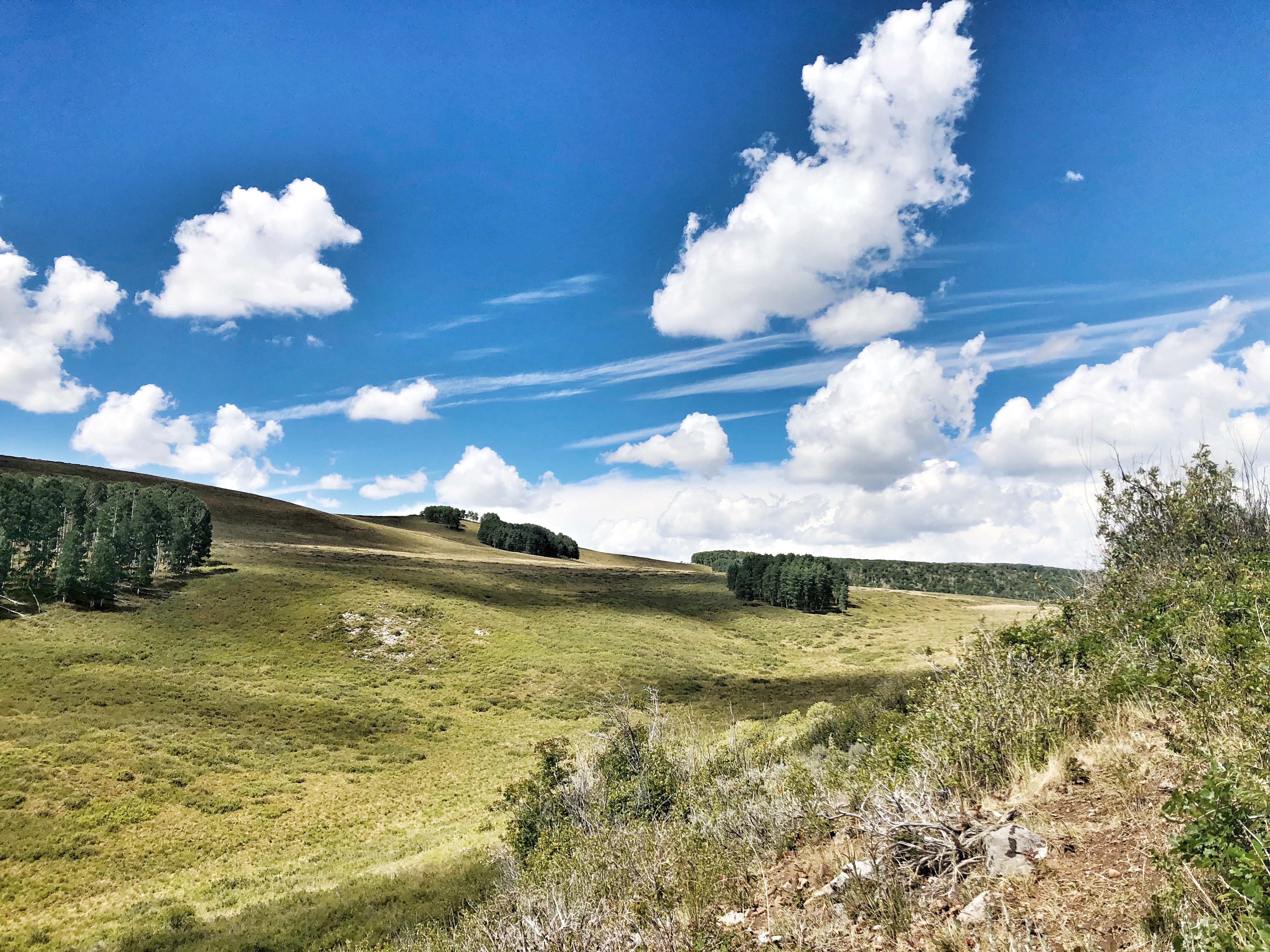 Rolling green hills and open sky